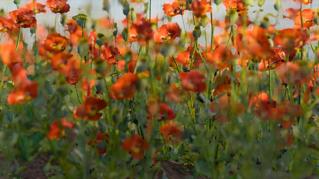 Studies on Breaking Immersion